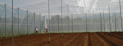 bajo cubierta